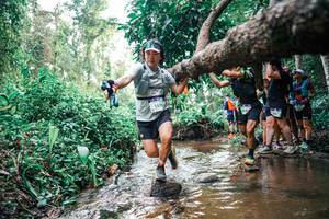 BIB: 
                            <button type="button" onclick="openModal(25371636)" class="btn btn-primary btn-sm float-right btn-popup" data-toggle="modal" data-target=".modal-high-quality">
                        <i class="fas fa-shopping-cart"></i> Add to Cart
                    </button>
                                            <button type="button" onclick="isThisMe(25371636, true)" class="btn btn-success btn-sm float-right btn-popup btn-isme hidden" data-toggle="tooltip" data-placement="bottom" title="นี่คือรูปของคุณใช่ไหม คลิกที่นี่เพื่อเอาเข้าอัลบั้ม">
                        <i class="fas fa-plus"></i> Add to album
                    </button>
                    <button type="button" onclick="isThisMe(25371636, false)" class="btn btn-warning btn-sm float-right btn-popup btn-isnotme hidden">
                        <i class="fas fa-ban"></i> Remove from album
                    </button>